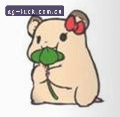 陈总